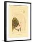 Lactation, 1833-39-null-Framed Giclee Print