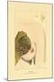 Lactation, 1833-39-null-Mounted Giclee Print