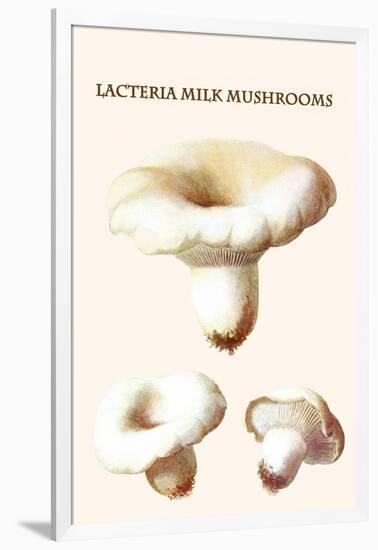 Lacteria Milk Mushrooms-Edmund Michael-Framed Art Print