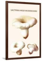 Lacteria Milk Mushrooms-Edmund Michael-Framed Art Print