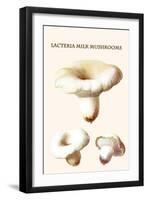 Lacteria Milk Mushrooms-Edmund Michael-Framed Art Print