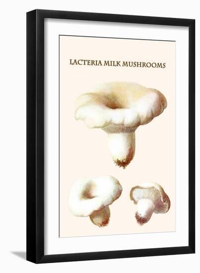 Lacteria Milk Mushrooms-Edmund Michael-Framed Art Print