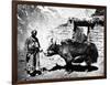 Ladakhi Yak, C.1860-80-null-Framed Photographic Print