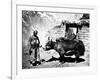 Ladakhi Yak, C.1860-80-null-Framed Photographic Print