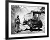 Ladakhi Yak, C.1860-80-null-Framed Photographic Print