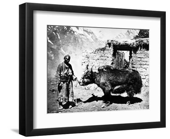 Photographic Print, , large