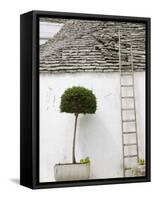 Ladder and Potted Tree, Trulli Houses, Alberobello, Puglia, Italy-Walter Bibikow-Framed Stretched Canvas