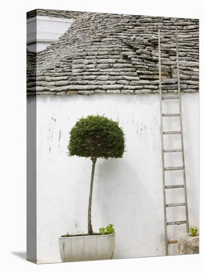 Ladder and Potted Tree, Trulli Houses, Alberobello, Puglia, Italy-Walter Bibikow-Stretched Canvas