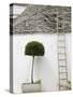 Ladder and Potted Tree, Trulli Houses, Alberobello, Puglia, Italy-Walter Bibikow-Stretched Canvas