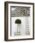 Ladder and Potted Tree, Trulli Houses, Alberobello, Puglia, Italy-Walter Bibikow-Framed Photographic Print