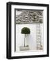 Ladder and Potted Tree, Trulli Houses, Alberobello, Puglia, Italy-Walter Bibikow-Framed Photographic Print