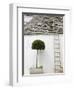 Ladder and Potted Tree, Trulli Houses, Alberobello, Puglia, Italy-Walter Bibikow-Framed Photographic Print