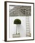 Ladder and Potted Tree, Trulli Houses, Alberobello, Puglia, Italy-Walter Bibikow-Framed Photographic Print