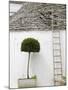 Ladder and Potted Tree, Trulli Houses, Alberobello, Puglia, Italy-Walter Bibikow-Mounted Photographic Print