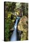 Ladder Creek Falls-dendron-Stretched Canvas