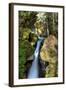 Ladder Creek Falls-dendron-Framed Photographic Print