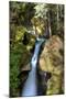 Ladder Creek Falls-dendron-Mounted Photographic Print