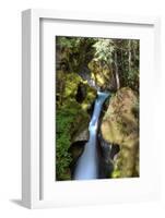 Ladder Creek Falls-dendron-Framed Photographic Print