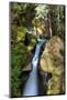 Ladder Creek Falls-dendron-Mounted Photographic Print