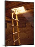 Ladder in a Kiva in Mesa Verde National Park, Colorado-Greg Probst-Mounted Photographic Print