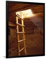 Ladder in a Kiva in Mesa Verde National Park, Colorado-Greg Probst-Framed Photographic Print