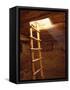 Ladder in a Kiva in Mesa Verde National Park, Colorado-Greg Probst-Framed Stretched Canvas