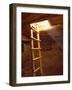 Ladder in a Kiva in Mesa Verde National Park, Colorado-Greg Probst-Framed Photographic Print