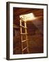 Ladder in a Kiva in Mesa Verde National Park, Colorado-Greg Probst-Framed Photographic Print