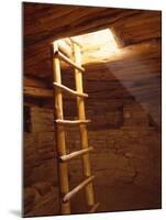 Ladder in a Kiva in Mesa Verde National Park, Colorado-Greg Probst-Mounted Photographic Print