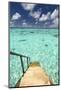Ladder Leading to the Ocean, Maldives, Indian Ocean, Asia-Sakis Papadopoulos-Mounted Photographic Print