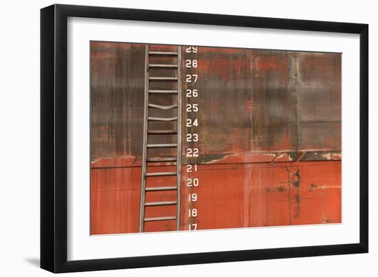 Ladder-5fishcreative-Framed Giclee Print