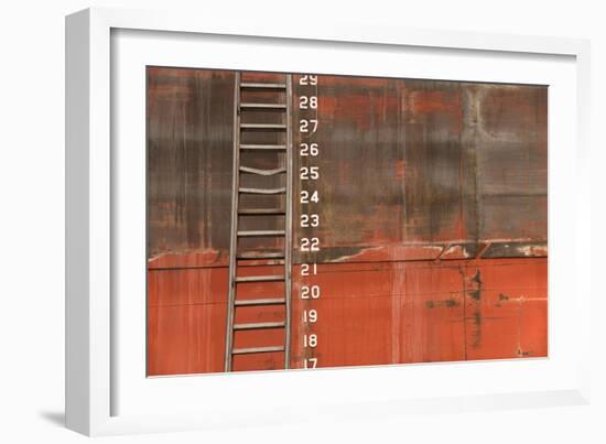 Ladder-5fishcreative-Framed Giclee Print