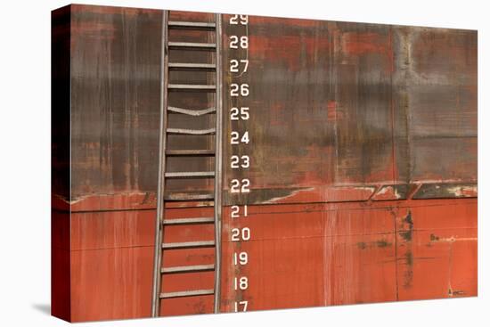 Ladder-5fishcreative-Stretched Canvas