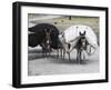 Laden Donkeys, Pal-Kotal-I-Guk, Between Chakhcharan and Jam, Afghanistan-Jane Sweeney-Framed Photographic Print