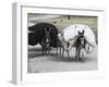 Laden Donkeys, Pal-Kotal-I-Guk, Between Chakhcharan and Jam, Afghanistan-Jane Sweeney-Framed Photographic Print