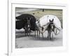 Laden Donkeys, Pal-Kotal-I-Guk, Between Chakhcharan and Jam, Afghanistan-Jane Sweeney-Framed Photographic Print