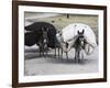 Laden Donkeys, Pal-Kotal-I-Guk, Between Chakhcharan and Jam, Afghanistan-Jane Sweeney-Framed Photographic Print