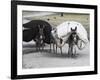 Laden Donkeys, Pal-Kotal-I-Guk, Between Chakhcharan and Jam, Afghanistan-Jane Sweeney-Framed Photographic Print