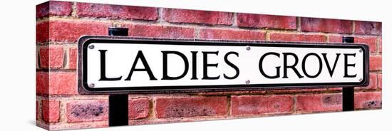 Ladies Grove Sign - St Albans - Hertfordshire - London - UK - England - United Kingdom - Europe-Philippe Hugonnard-Stretched Canvas