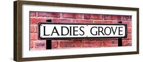 Ladies Grove Sign - St Albans - Hertfordshire - London - UK - England - United Kingdom - Europe-Philippe Hugonnard-Framed Photographic Print