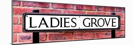 Ladies Grove Sign - St Albans - Hertfordshire - London - UK - England - United Kingdom - Europe-Philippe Hugonnard-Mounted Photographic Print