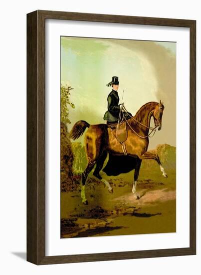 Ladies' Horse-Samuel Sidney-Framed Art Print