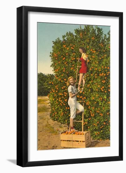 Ladies Picking Oranges, Florida-null-Framed Art Print