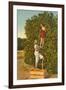 Ladies Picking Oranges, Florida-null-Framed Art Print