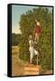 Ladies Picking Oranges, Florida-null-Framed Stretched Canvas