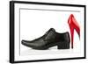 Ladies Shoes and Men's Shoes, Symbolic Photo for Partnership and Equality-ginasanders-Framed Photographic Print