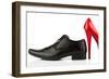 Ladies Shoes and Men's Shoes, Symbolic Photo for Partnership and Equality-ginasanders-Framed Photographic Print