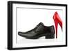 Ladies Shoes and Men's Shoes, Symbolic Photo for Partnership and Equality-ginasanders-Framed Photographic Print