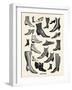 Ladies Shoes-The Vintage Collection-Framed Giclee Print