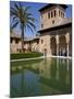 Ladies Tower, Partal Palace, Alhambra Palace, UNESCO World Heritage Site, Granada, Andalucia, Spain-Jeremy Lightfoot-Mounted Photographic Print